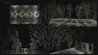 3D scan composite of leaf foliation in a group of poplars