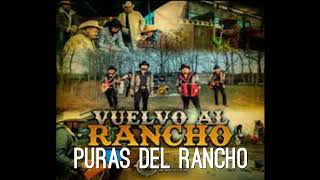 Vuelvo Al Rancho  - Impostores De Nuevo Leon