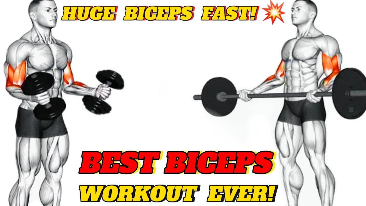 7 Best Biceps Exercises for Bigger Arms 💪 | Build Massive Biceps Fast Workout at Gym