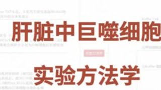 肝脏中的巨噬细胞 实验方法大揭秘 #巨噬细胞 #实验室日常 #科研 #小优大学堂 #科研干货