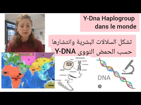 شجرة السلالات العرقية للبشر الحمض النووي    وانتشارها