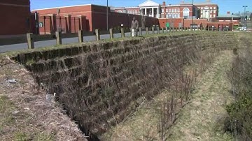 Strata Overview Video