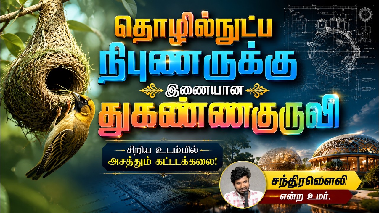 தொழில்நுட்ப நிபுணருக்கு இணையான துகண்ணகுருவி┇சந்திரமௌலி என்ற உமர்┇26-07-26┇Way to Paradise