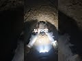 Buried Alive in a Mudslide Pit! 🚨🐻