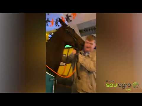 Cavalo é levado a um bar depois de ganhar corrida