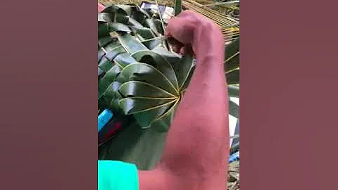 Coconut hat weaving