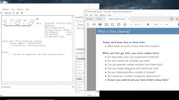 Stata Crash Course (for beginners): What is data cleaning?