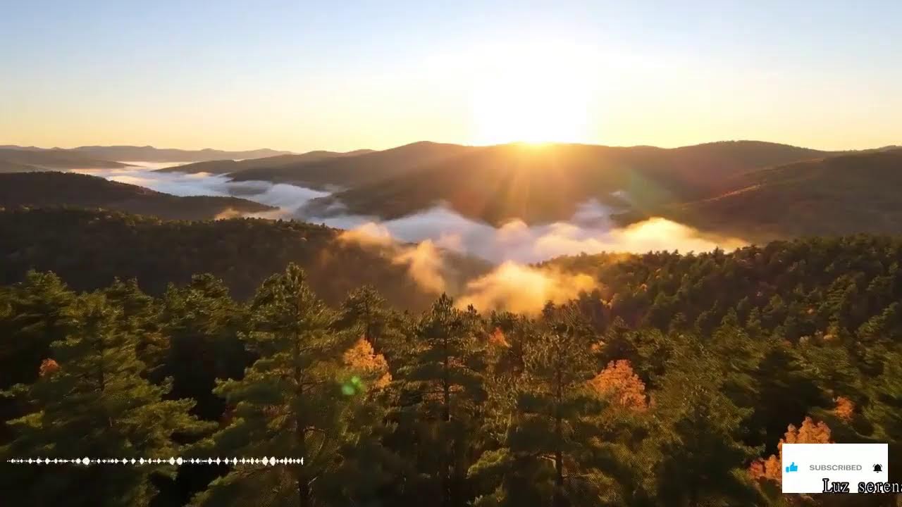 Ecos Eternos De Los Andes Invocación Ancestral Entre Montañas Y Espíritus De La Tierra