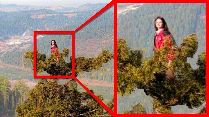The Real Reason Why She Lived In A Tree For 2 Whole Years - The Insane Story of Julia Butterfly Hill