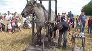 Oogst Demonstratie De Smid Aan Het Werk
