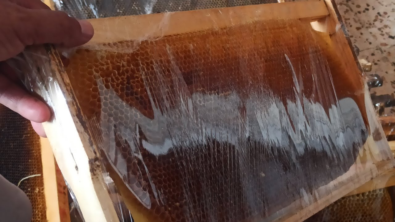 طريقة تخزين اطارات شمع النحل المبنية أو الممطوطة #تخزين_شمع_النحل