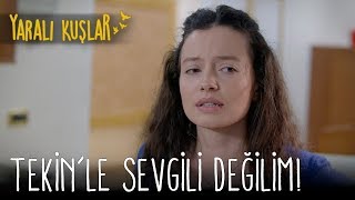 Tekin'le Sevgili Değilim! | Yaralı Kuşlar 39. Bölüm