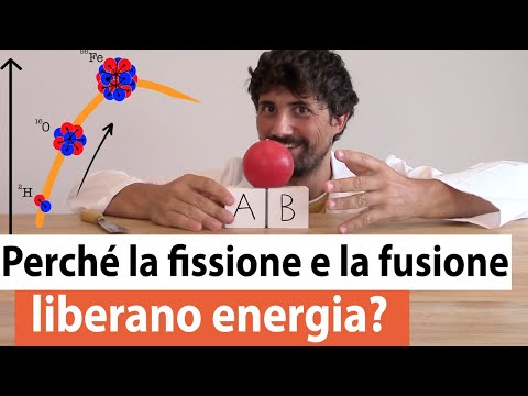 Video: Differenza Tra Fissione Binaria E Germogliamento