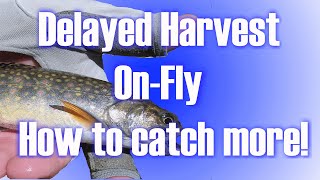 Delayed Harvest - How to Catch More Fish