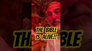 Bring The Holy Land To Life at Museum of the Bible