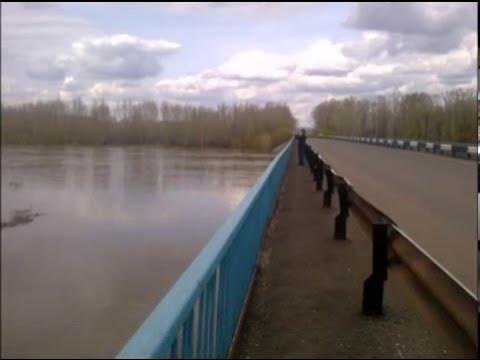 Какой сегодня уровень воды на сакмаре