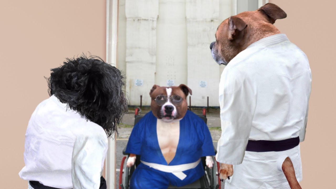 Dog Judo - The Tragedy of Roly animated spider man