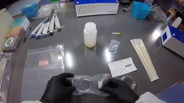 Engineer-it Kit & DNA Playground: Day 1