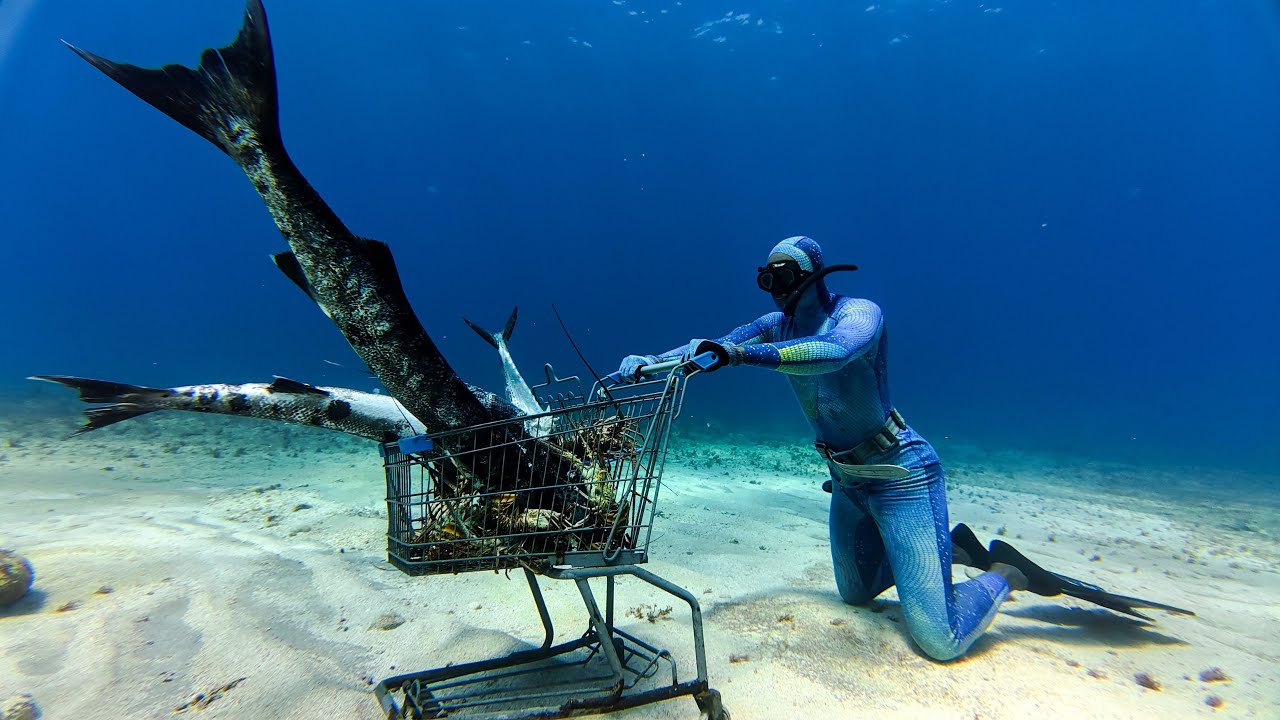 I Went Real Life Underwater Grocery Shopping | Catch Clean Cook