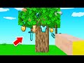 TREES GROW ITEMS In Minecraft!