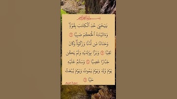 القران #الكريم #سورة_مريم القارئ صلاح بو خاطر