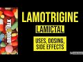 Lamotrigine (Lamictal) - Uses, Dosing, Side Effects