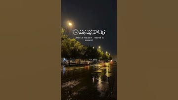 سورة الغاشية القارئ عبدالرحمن مسعد #القرآن #اكسبلور #القرآن_الكريم #لايك #حالات_واتس_اب #راحة_نفسية