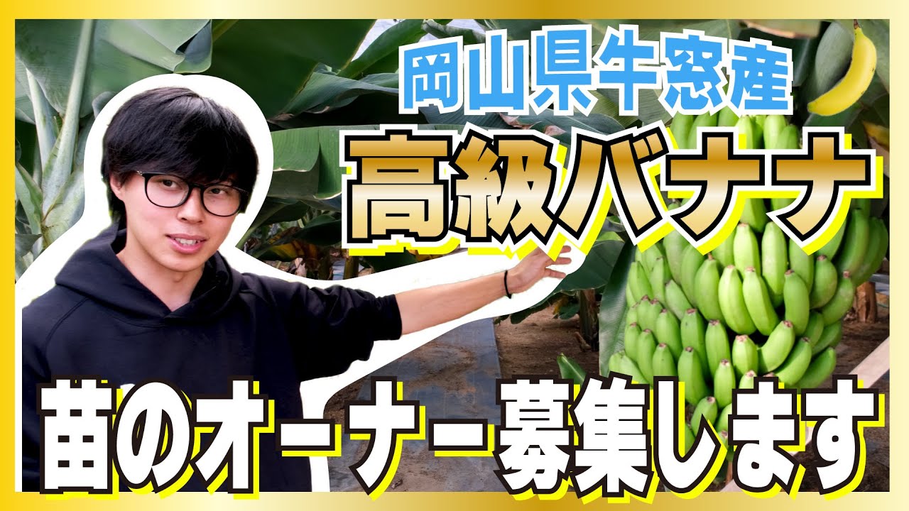 最後1苗、260㎝超巨大苗＝世界一美味と称賛？◇伝統種/