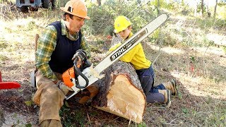 How To Work With Chainsaws Tutorial