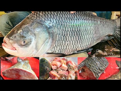 Видео: Гэрийн нөхцөлд хэлтэг загасыг хэрхэн цэвэрлэж хэрчих вэ + видео