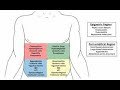 Systemic Examination for Acute Abdomen Patients