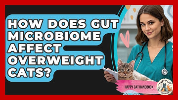 How Does Gut Microbiome Affect Overweight Cats? - Happy Cat Handbook