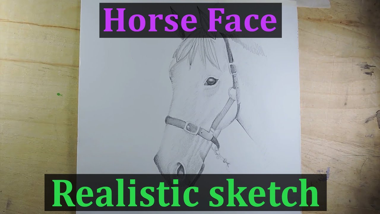 [LEARN] How to Draw a Horse Face ||Pencil Sketch|| Drawing || Art - YouTube