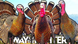 Download Lagu First Eastern Wild Turkey Hunt! | Way of the Hunter MP3