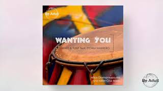 Schwarz & Funk - Wanting You feat  Storm Marrero (Classic House Mix)
