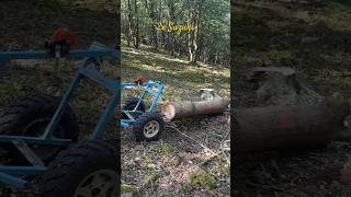 2X Suzuki King Quad 750 At Work