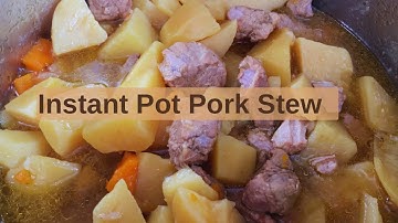 Easy recipe /Instant Pot Pork Stew/ Dinner idea