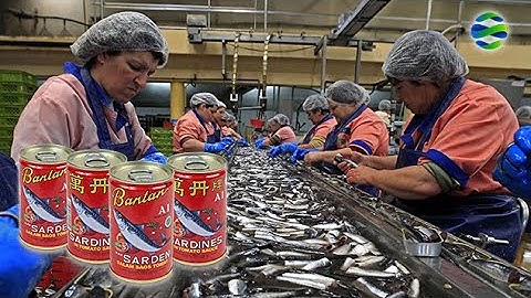 Buat Penasaran! Bagaimana Cara Jutaan Sarden Kaleng Dibuat di Pabrik