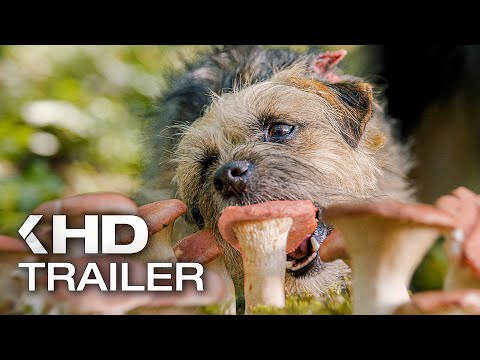 STRAYS Trailer (2023)