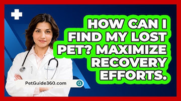 How Can I Find My Lost Pet? Maximize Recovery Efforts. - PetGuide360.com