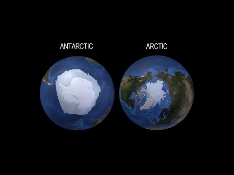 فيديو: ماذا يعني مناخ القطب الشمالي؟