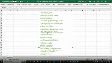 API 4 VIACEP.COM.BR no EXCEL CEP x GPS x WEBSERVICE x FILTERXML TRAILER