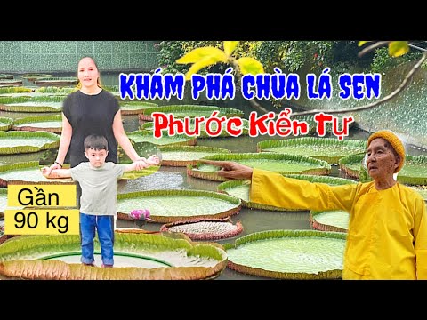 Video Khám Phá Chùa Lá Sen Phước Kiển Tự 2022 - Nghe Sư Ông... - youtube