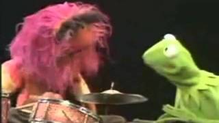 animal and kermit drummer.avi