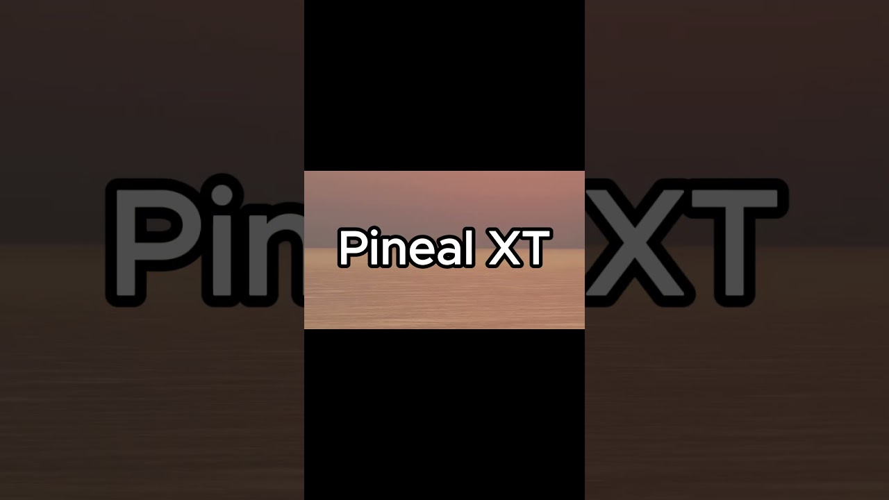 Pineal XT – Reconnecting with the Universe made possible.