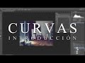 Curvas Introducción Photoshop