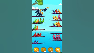 #bird #sort #color #puzzle #game #trending #viral #shorts #new #video #like #subscribe