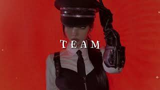 Celebrity lorde - team (slowed + reverb) Net Worth