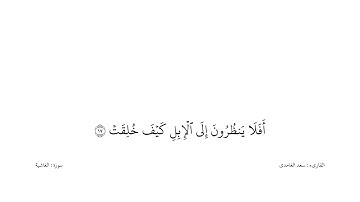 سعد الغامدى القران كریم خلفیه‌ بيضاء (سورة الغاشية)