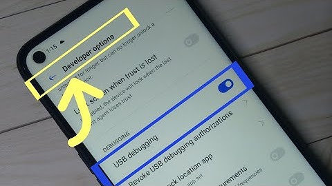 How to Enable Developer Options in Realme 7 Pro